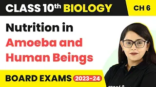 Nutrition in Amoeba and Human Beings - Life Process | Class 10th Biology