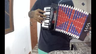 COMPREI UM ACORDEON TURBINHO - Unboxing - Review