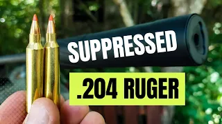 Suppressed .204 Ruger - Banish 30 Gold #whoteewho