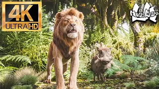 Hakuna Matata | The Lion King | 2019