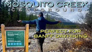 Perfect campground for hiking in Banff National Park: Mosquito Creek