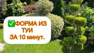 ✅ФОРМА ИЗ ТУИ ЗА 10 мин👍ПОДРОБНО‼️