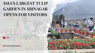 Asia's largest Tulip Garden in Srinagar opens for visitors