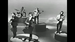 the byrds ♦ mr. tambourine man ♦ stereo remix