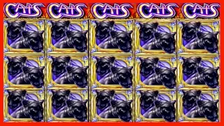 ★★JACKPOT HANDPAY★★$300 BETS★★CATS HIGH LIMIT SLOT MACHINE BUENO DINERO MUSEUM SLOTS IGT