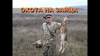 ОХОТА НА ЗАЙЦА ПО ЧЕРНОТРОПУ.  2019