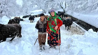 IRAN Nomadic Life! Heavy Snowfall Difficulty of Movement of People and Animals