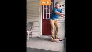 Funniest Video Ever | Amazon Prime vs UPS vs FedEx | Must Watch | TikTok Funny Clip