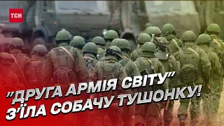 🤯 "Шо привез?! Пожрать есть?" "Друга армія світу" з'їла собачу тушонку!