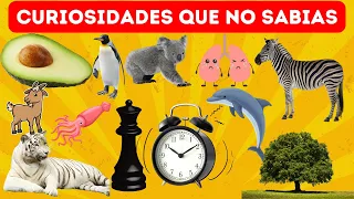 🙀30 cosas que no sabias hace 10 minutos... delfín, ajedrez, pingüino, cabra y koala | wilys