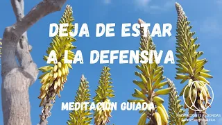 DEJA DE ESTAR A LA DEFENSIVA