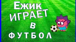 Африканский ежик играет в футбол