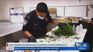 CBP Agriculture Specialists working to ensure Mother’s Day flowers are pest-free