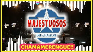 LOS MAJESTUOSOS DEL CHAMAMÉ | ACORDEÓN TUYA PORA - *NUEVO LANZAMIENTO* 2020