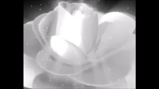"Квіти для мами " (Музика: Ольга Янушкевич, слова: Наталiя Май) мiнус