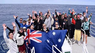 Australia Day 2024 Bremer Bay Orca Tour💚💛