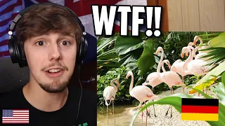 American Reacts to INSANE German Water Park (Tropical Islands)