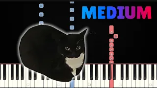 Maxwell The Cat 👉 Piano Tutorial