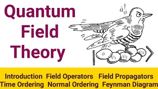 Quantum Field Theory Introduction Feynman Diagrams