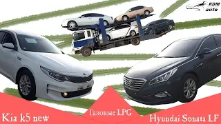 Погрузка KIA Hyundai в Корее | Успеем под льготу