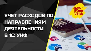 Учет расходов по направлениям деятельности в 1С:УНФ