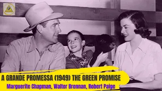 A Grande Promessa (1949) The Green Promise, Marguerite Chapman, Walter Brennan, Robert Paige