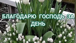 БЛАГОДАРЮ ГОСПОДЬ ЗА ДЕНЬ!!Христианская песня. Ксения Лапицкая.