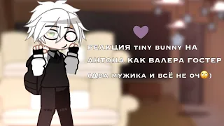 РЕАКЦИЯ tiny bunny НА АНТОНА КАК ВАЛЕРА ГОСТЕР (Два мужика и всё не оч🙄)