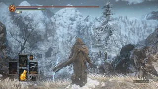 duel with Friede's Great Scythe