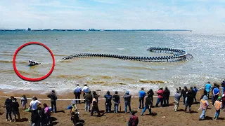 40 unglaubliche Momente, die am Strand gefilmt wurden