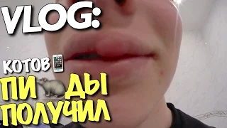 VLOG: КОТОВ ПОЛУЧИЛ ПИ ЗДЫ / Андрей Мартыненко