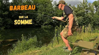 Evening Fishing: Appointment With XXL Barbel From The Somme?