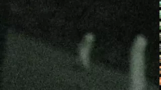 Strange Alien Stick-like creatures caught on security camera above Fresno in Yosemite (Video Tests)