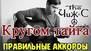 КРУГОМ ТАЙГА - ЧИЖ и КО | РАЗБОР | ТАК ИГРАЕТ САМ ЧИЖ | ТАБЫ В ОПИСАНИИ