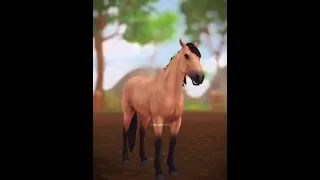 new spirit mustang in star stable