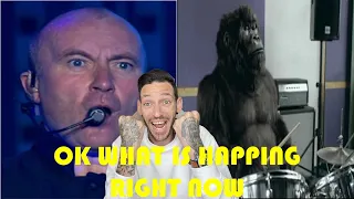 OK WHAT IS HAPPING??????? Phil Collins "In The Air Tonight" Gorilla (REACTION)