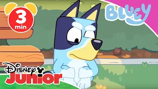 💙 Bluey - Clip: Lernen ist nicht leicht | Disney Junior