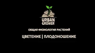 УРБАН ГРОВЕР УРОК 9 - ЦВЕТЕНИЕ | ПЛОДОНОШЕНИЕ - ОБЩАЯ ФИЗИОЛОГИЯ РАСТЕНИЙ