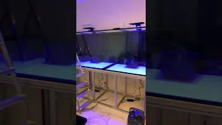 New aquarium, 2000L with Oase 850 Thermo filters