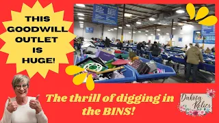 SO MANY BINS! Thrifting at the Biggest Goodwill Outlet Store I have been in!