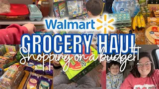 $64 WALMART GROCERY HAUL || Shop With Us + Meal Plan
