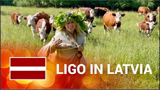 🔥 (1) How are cows related to the LIGO holiday in Latvia?