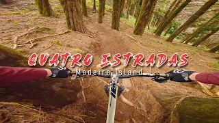 Quatro Estradas - Madeira Island