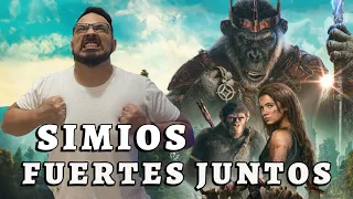 Un solido inicio - El Reino del Planeta de los Simios - Reseña sin Spoilers