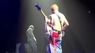 Red Hot Chili Peppers - Soul To Squeeze (Sydney II, 2019)