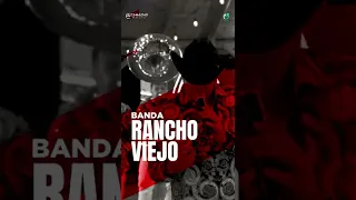 Banda Rancho Viejo -  Hermoso Cariño #Shorts 🎬