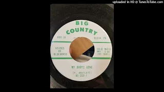 The Voices Of Bluegrass – My Baby's Gone | 1966 PA Small Label Bluegrass | Big Country  – BC 223