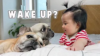 My Dogs and Baby's Morning Routine In Our New Home