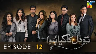 Tou Dil Ka Kia Hua - Episode 12 - [HD] - { Ayeza Khan - Sami Khan - Zahid Ahmed } - HUM TV Drama