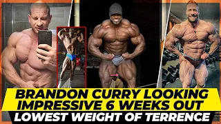 Brandon Curry's upper body is ridiculously good + Krizo 5 weeks out +Can Tim beat Nathan ? +Terrence